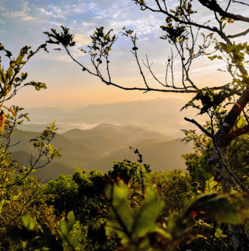 A serene mountain landscape at sunrise, framed by branches and leaves, with mist rolling over the distant hills.