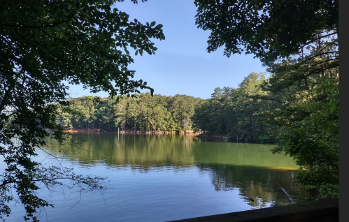 A serene lake surrounded by lush green trees under a clear blue sky, reflecting the landscape in the water.