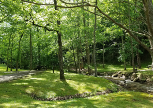A serene park scene with lush green trees, a winding path, and a small stream flowing through the landscape.