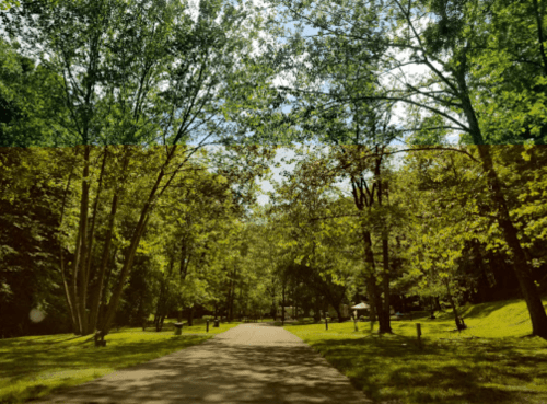 A serene pathway through a lush green forest, lined with tall trees under a bright blue sky.