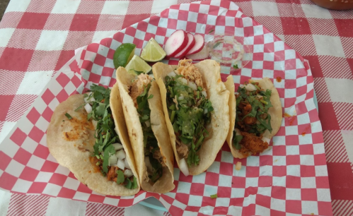 Three tacos filled with meat, onions, and cilantro, served with lime wedges and radishes on a red and white checkered tablecloth.