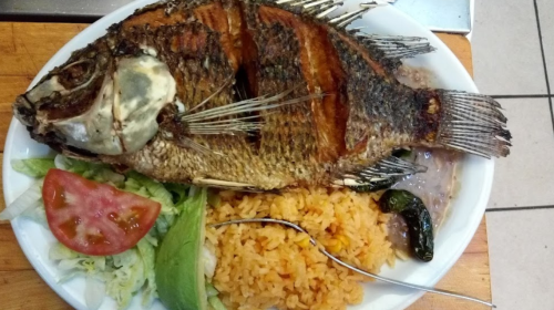A whole grilled fish served on a plate with rice, salad, tomato, and a green chili pepper.