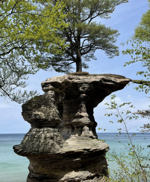 A solitary tree grows atop a tall rock formation overlooking a calm lake, surrounded by greenery and blue skies.