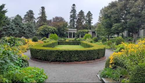 A lush garden featuring neatly trimmed hedges, vibrant yellow flowers, and trees, set in a serene landscape.