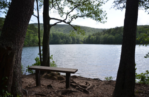 A serene lake view framed by trees, with a wooden bench overlooking the water and surrounding hills.