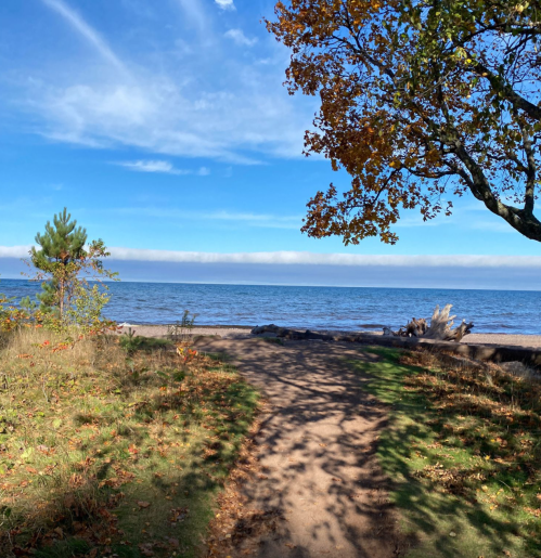A sandy path leads to a calm lake, framed by trees and a clear blue sky with scattered clouds.