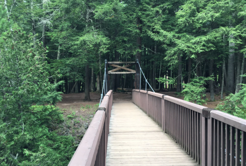 A wooden bridge leads into a dense forest, surrounded by lush green trees.