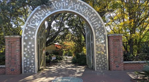 Archway entrance to J.C. Raulston Arboretum, surrounded by trees and colorful foliage.