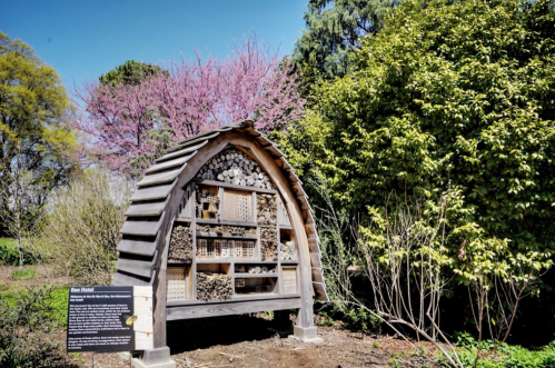 A wooden bee hotel with various compartments, surrounded by greenery and blooming trees under a clear blue sky.