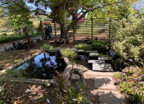 A serene garden scene featuring a pond, stepping stones, and lush greenery, with people visible in the background.