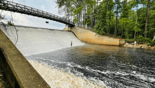 A serene scene of a dam with flowing water, surrounded by lush green trees and a bridge overhead.