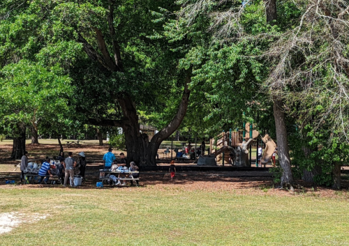A park scene with people at picnic tables and a playground in the background, surrounded by lush green trees.