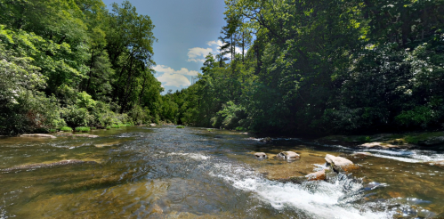 A serene river flows through a lush green forest under a clear blue sky, with rocks visible in the water.