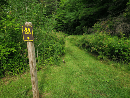 A wooden sign indicating a hiking trail, with a path surrounded by greenery leading into the woods.