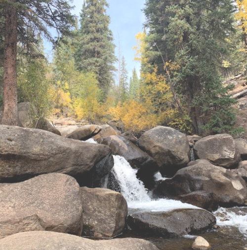 A serene stream flows over rocks, surrounded by lush green trees and autumn-colored foliage.