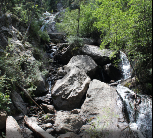 A rocky stream flows through a lush green forest, with water cascading over large boulders.