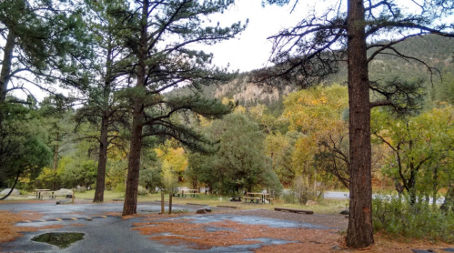 A serene outdoor scene with tall trees, a gravel area, and distant mountains, showcasing autumn foliage.