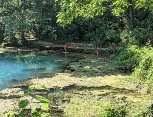 A serene pond surrounded by lush greenery, with people in red shirts standing along the water's edge.