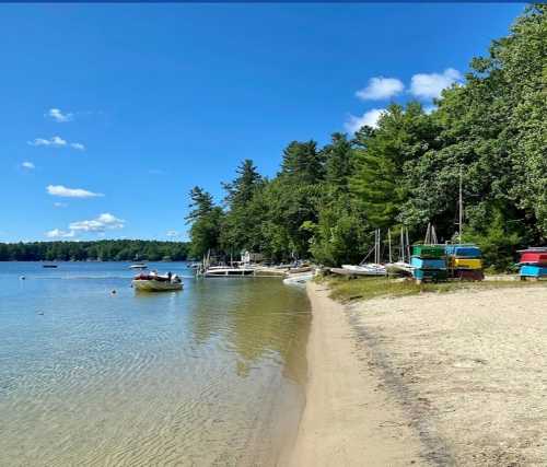 A serene lakeside scene with boats, sandy shore, and lush green trees under a clear blue sky.