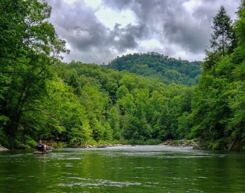 A person paddles a kayak on a calm river surrounded by lush green trees and a cloudy sky.