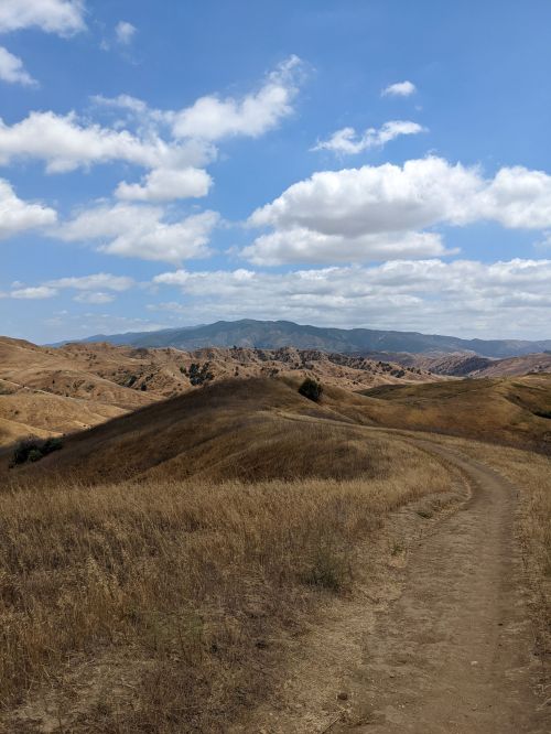 A winding dirt path leads through dry, golden hills under a blue sky with fluffy white clouds and distant mountains.