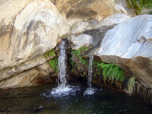 A serene waterfall cascading over rocks into a clear pool, surrounded by lush green ferns and natural stone.