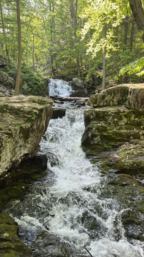 A serene waterfall cascades over rocks, surrounded by lush green trees in a peaceful forest setting.