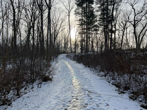 A snowy path winding through a forest, with the sun shining through bare trees in the background.