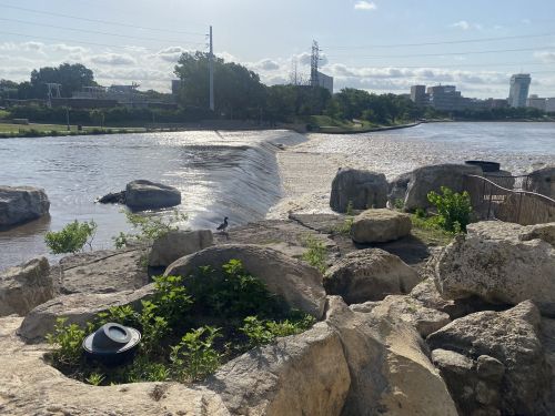A serene river scene with rocks, greenery, and a gentle waterfall under a clear sky.