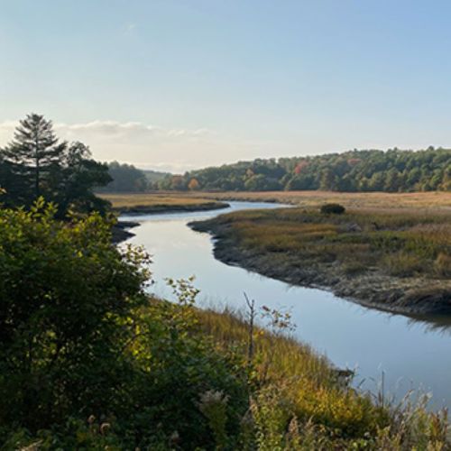 A serene river winding through a landscape of trees and grassy banks, with distant hills under a clear sky.