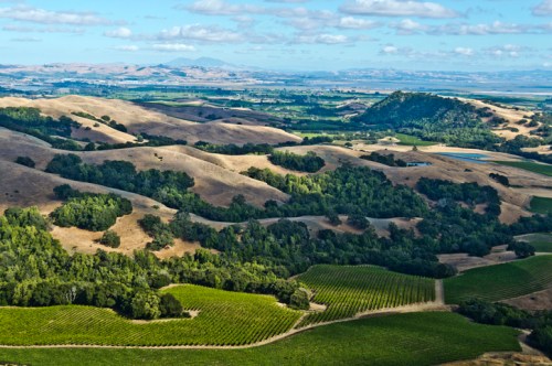A scenic view of rolling hills and vineyards under a partly cloudy sky, with lush greenery and distant mountains.