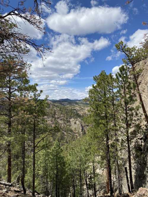 A scenic view of a mountainous landscape with green pine trees and a blue sky dotted with fluffy white clouds.