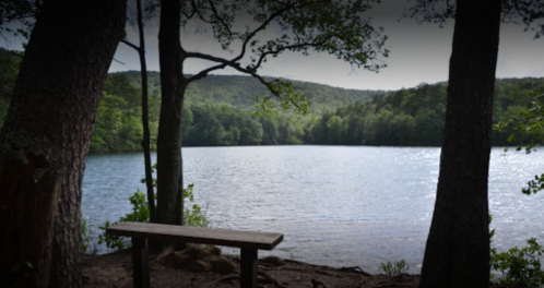 A serene lake surrounded by trees, with a wooden bench overlooking the water and hills in the background.