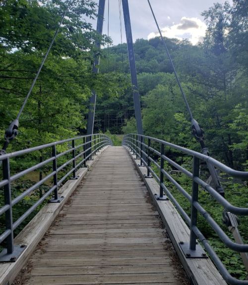A wooden suspension bridge surrounded by lush green trees under a cloudy sky.
