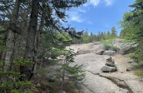 A rocky slope surrounded by trees, featuring a small stack of stones in the foreground under a blue sky.