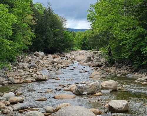 A serene river flows through a rocky landscape, surrounded by lush green trees under a cloudy sky.