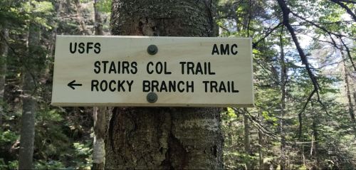 Wooden trail sign on a tree indicating "Stairs Col Trail" and "Rocky Branch Trail" with directional arrows.