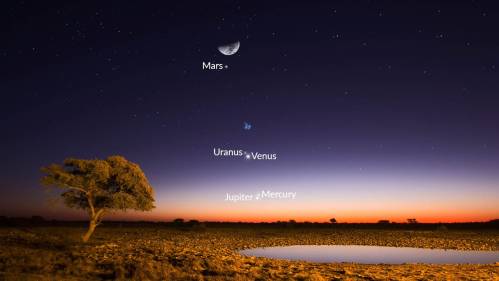 A serene twilight landscape with a tree, featuring planets Mars, Uranus, Venus, Jupiter, and Mercury in the sky.