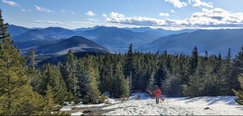 A person walks through a snowy trail surrounded by evergreen trees, with mountains and a blue sky in the background.