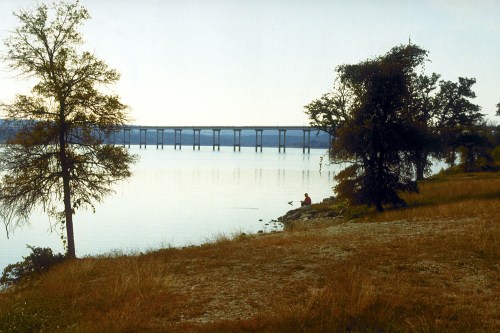 A serene lakeside scene with a bridge in the background, framed by trees and a person sitting by the water's edge.
