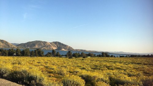 A serene landscape featuring a lake surrounded by rolling hills and fields of yellow wildflowers under a clear blue sky.