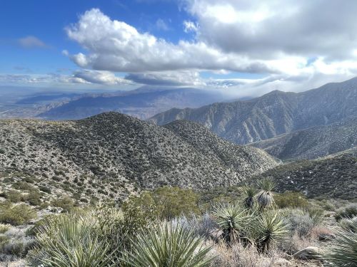 A scenic view of rolling mountains under a cloudy sky, with desert vegetation in the foreground.