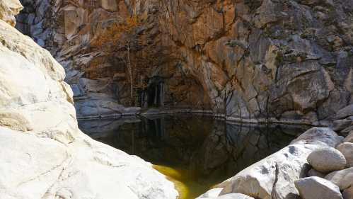 A serene rocky landscape with a still pool of water reflecting surrounding cliffs and a lone tree.