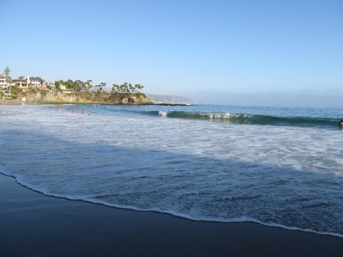 A serene beach scene with gentle waves, palm trees, and a clear blue sky in the background.