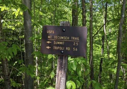 Trail sign for Mt. Tecumseh, indicating Summit 2.5 miles and Tripoli Rd 5.6 miles, surrounded by green trees.