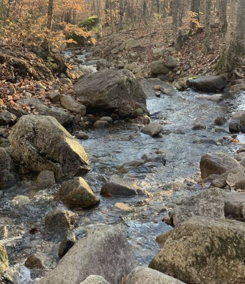 A serene stream flows over smooth rocks, surrounded by autumn foliage in a peaceful forest setting.