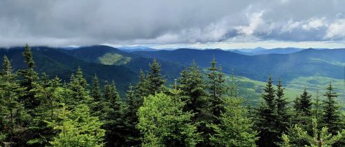 A panoramic view of lush green mountains under a cloudy sky, with dense evergreen trees in the foreground.