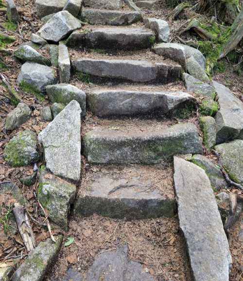 Stone steps leading up a natural path, surrounded by rocks and greenery.