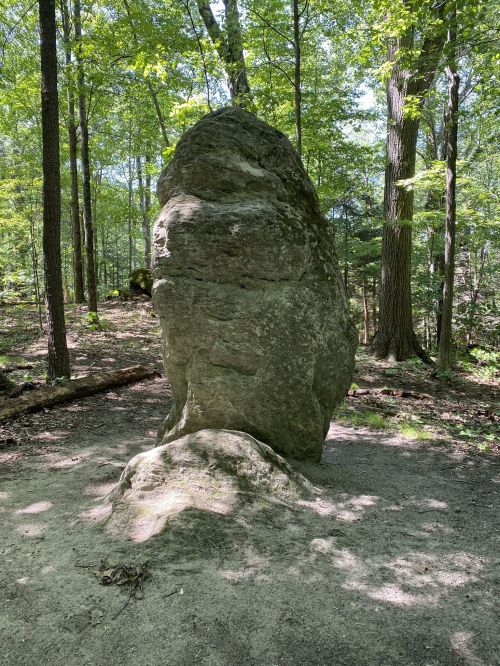 A large, upright rock stands in a sunlit forest, surrounded by trees and a sandy path.