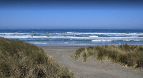 A sandy beach with tall grass in the foreground and gentle waves under a clear blue sky.